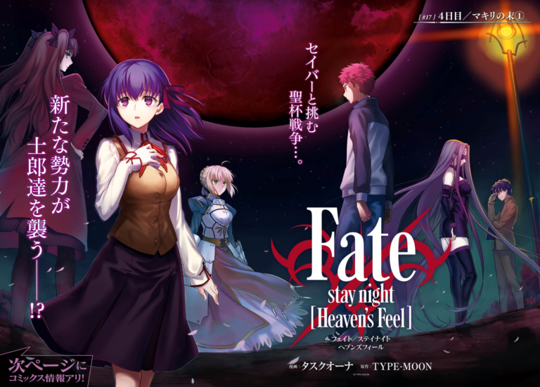 Fate Stay Night -Cover